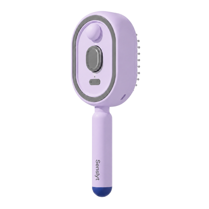 ✨2026 New Viral Electric Spray Air Cushion Massage Comb