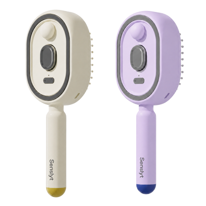 ✨2026 New Viral Electric Spray Air Cushion Massage Comb