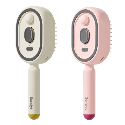 ✨2026 New Viral Electric Spray Air Cushion Massage Comb