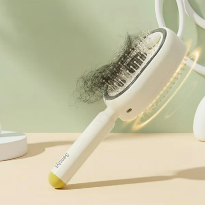 ✨2026 New Viral Electric Spray Air Cushion Massage Comb
